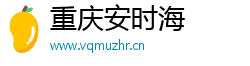 重庆安时海